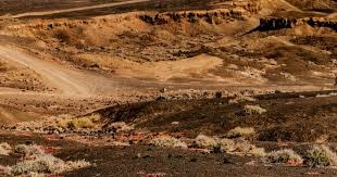 英超半场：沃尔特马德挑射破门，纽卡暂3-0埃弗顿